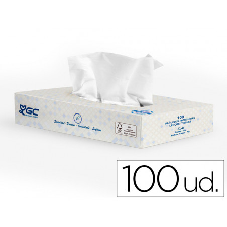 Pañuelo tissu 2 capas 21x20,7 cm caja de 100 unidades