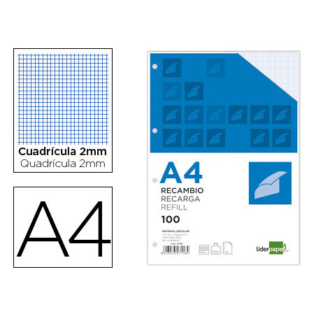 Recambio liderpapel a4 100 hojas 100g/m2 cuadro 2mm con margen 4 taladros