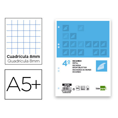 Recambio liderpapel cuarto 100 hojas 60g/m2 cuadro 8mm con m argen 6 taladros