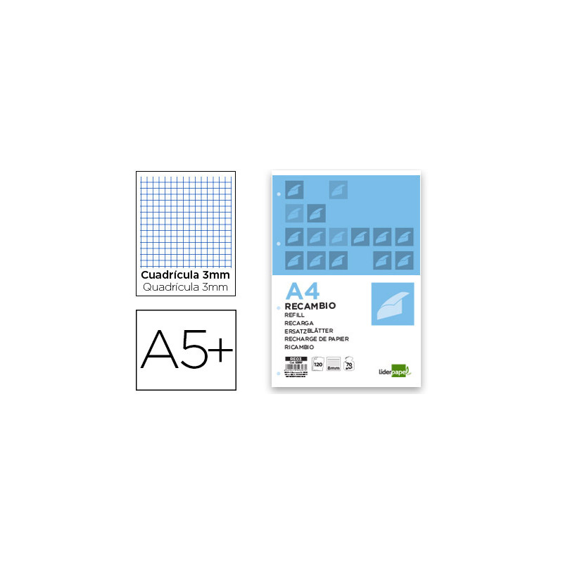 Recambio liderpapel cuarto 100 hojas 60gr cuadro 3mm con margen 6 taladros