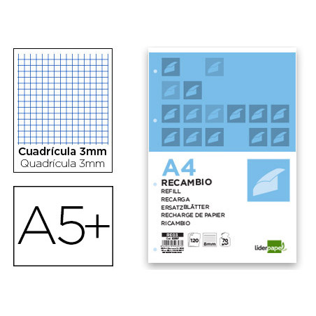 Recambio liderpapel cuarto 100 hojas 60g/m2 cuadro 3mm con m argen 6 taladros