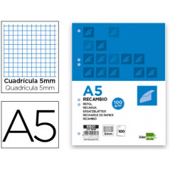 Recambio liderpapel din a5 100 h 100g/m2 cuadro 5mm con margen 6 taladros