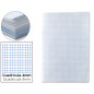 Papel florete liderpapel cuadro 4mm 60 gr paquete de 250 hojas