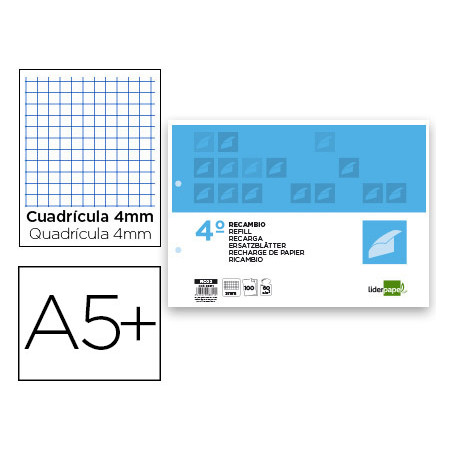 Recambio liderpapel cuarto apaisado 100 h 2tca-06 cuadro 3 mm 2 taladros con margen