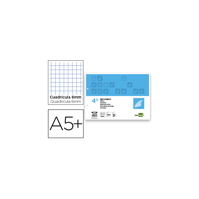Recambio liderpapel cuarto apaisado 100 hojas 60 gr cuadro 6 mm 2 taladros con margen