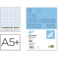 Recambio liderpapel cuarto apaisado 100 h 2tca-01 cuadro 4 mm 2 taladros con margen