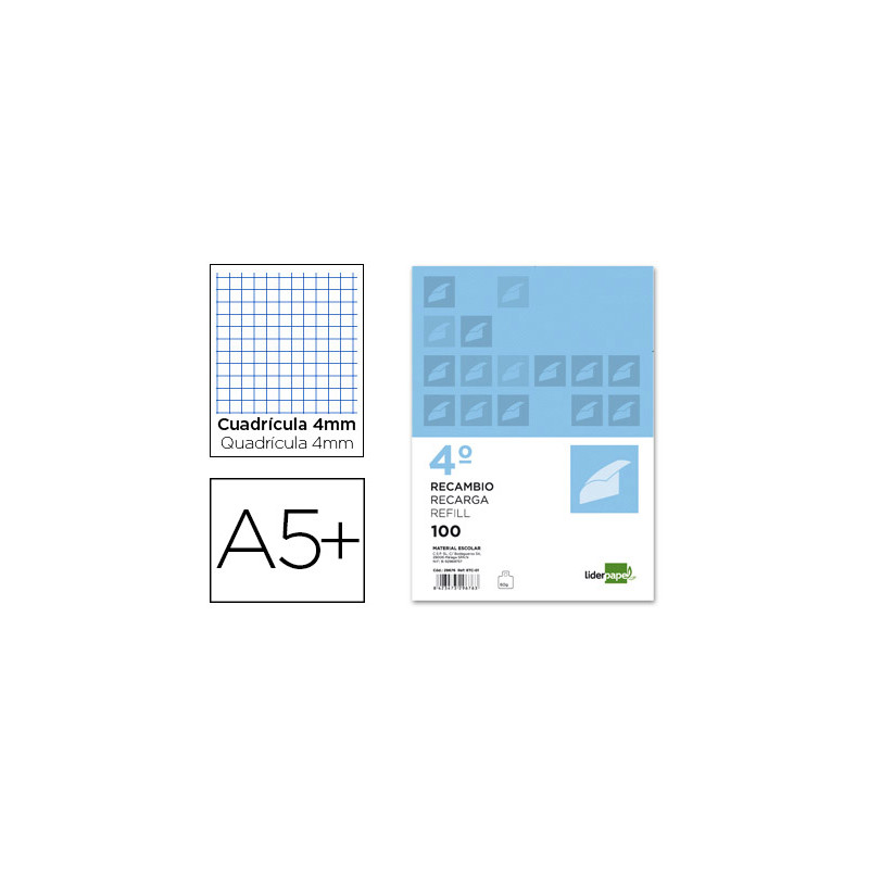 Recambio liderpapel cuarto apaisado 100 hojas 60gr cuadro 4 mm 2 taladros con margen