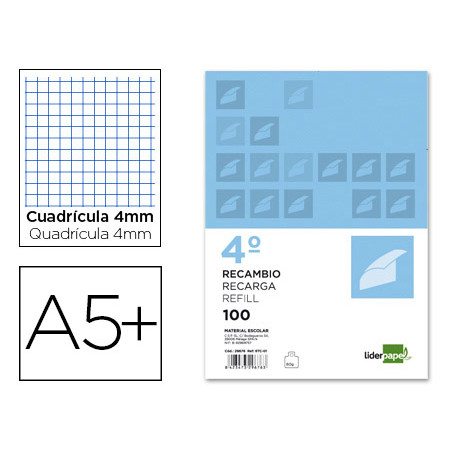 Recambio liderpapel cuarto apaisado 100 h 2tca-01 cuadro 4 mm 2 taladros con margen