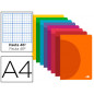 Libreta liderpapel 360 tapa de plastico a4 48 hojas 90g/m2 rayado nº46 colores surtidos