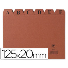 Indice fichero liderpapel carton nº4 125x200 mm