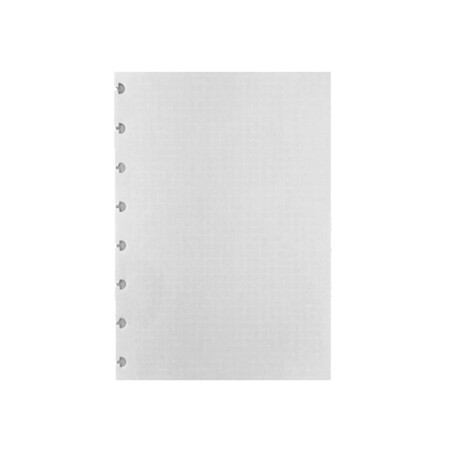 Recambio cuaderno inteligente cuadros blancos din a5 120 gr