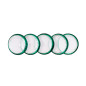 Discos y elastico cuaderno inteligente m verde metalico