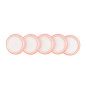 Discos y elastico cuaderno inteligente m rosa perla