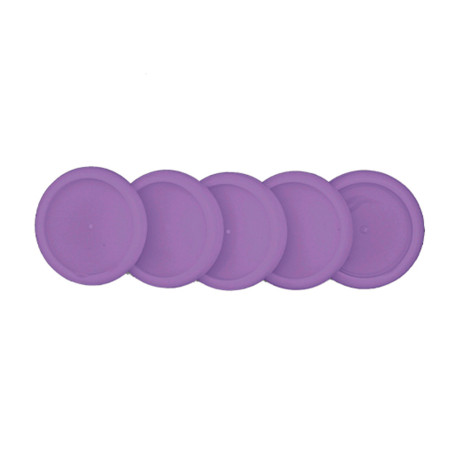 Discos y elastico cuaderno inteligente m morado de pampas