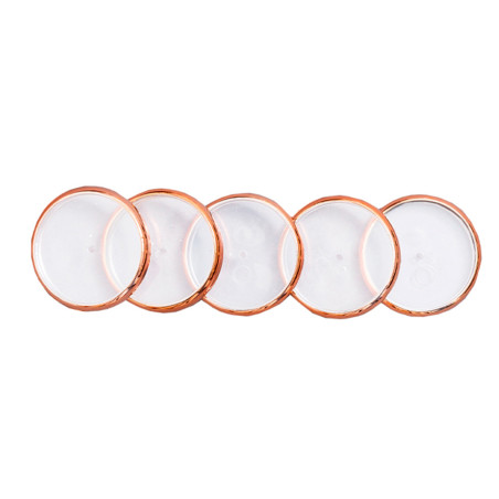 Discos y elastico cuaderno inteligente g rose gold