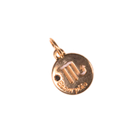 Colgante cuaderno inteligente inteligente signo escorpion