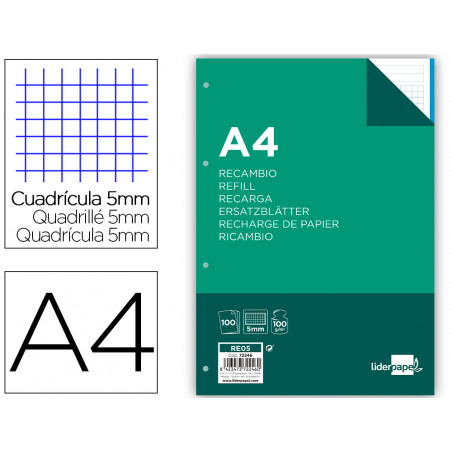Recambio liderpapel a4 100 hojas 100 g/m2 cuadro 5 mm 4 taladros bandas de 5 colores