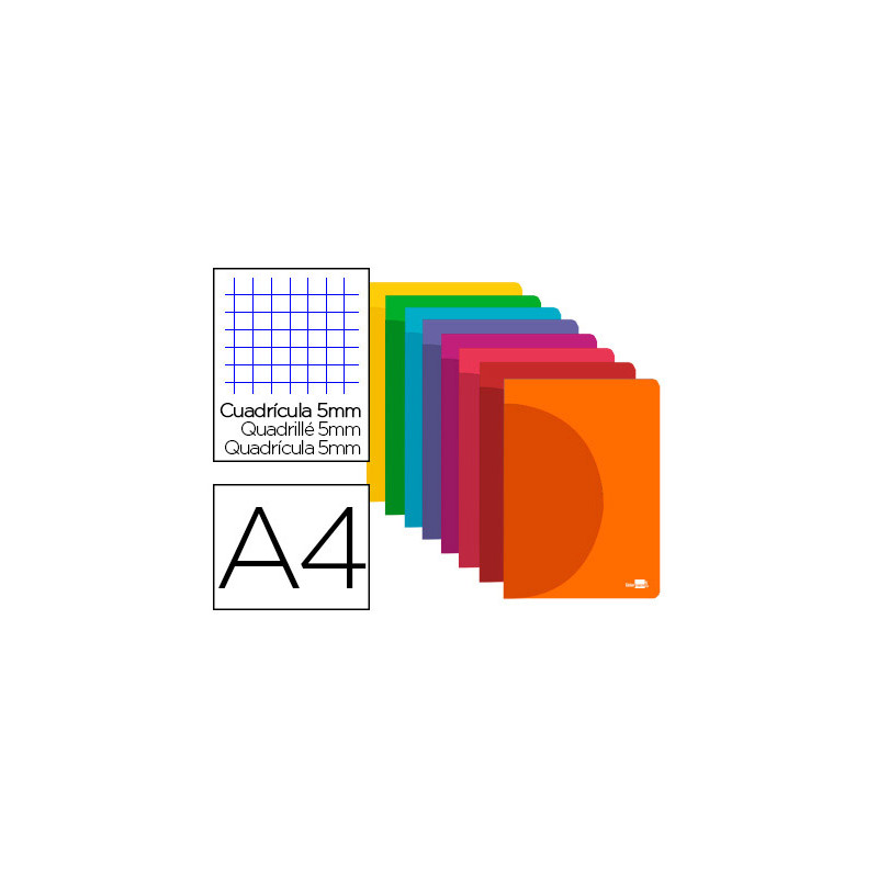 Libreta liderpapel 360 tapa de plastico a4 48 hojas 90gr 5mm con doble margen colores surtidos