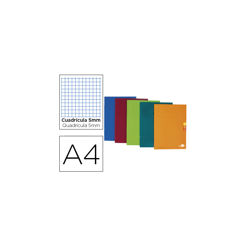Libreta liderpapel scriptus a4 48 hojas 90gr cuadro 5mm con margen colores surtidos